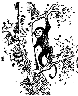 monkey_16751_sm