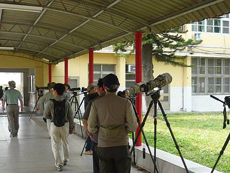 新庄校園裡的 黃鸝鳥 鈔事國事天下事事事關心 痞客邦