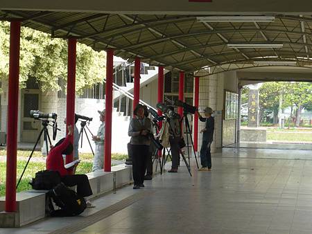 新庄校園裡的 黃鸝鳥 鈔事國事天下事事事關心 痞客邦