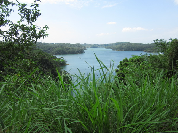 永和山水庫步道健行 015─01.jpg