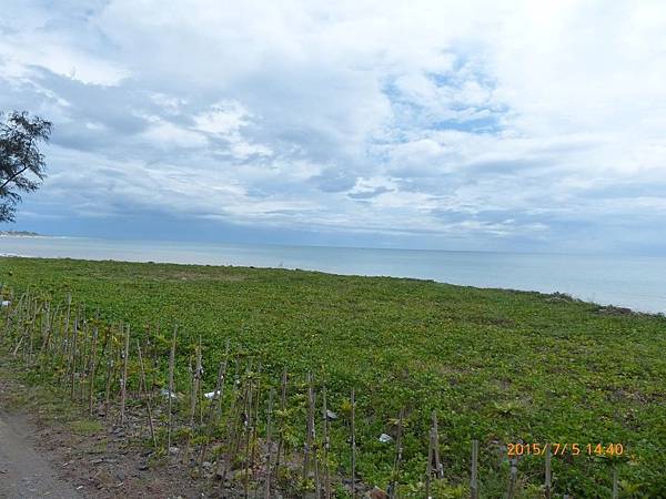 P1120833.jpg P1120833.jpg