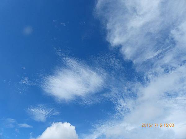 P1120850.jpg P1120850.jpg