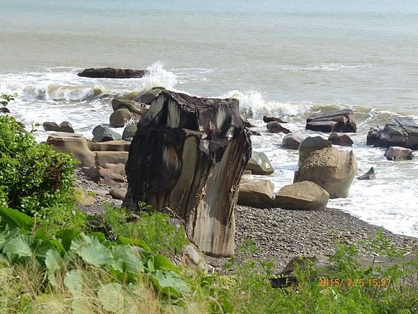 P1120863.jpg P1120863.jpg