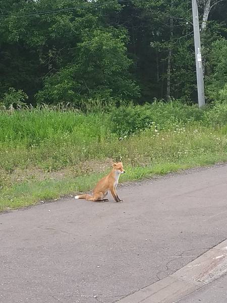 20180703-17北海道_180719_0657.jpg 20180703-17北海道_180719_0657.jpg