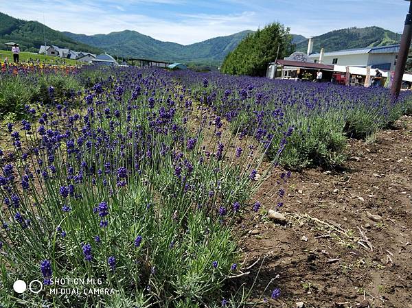 20180703-17北海道_180719_0660.jpg 20180703-17北海道_180719_0660.jpg