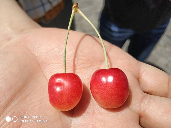 20180703-17北海道_180719_0662.jpg 20180703-17北海道_180719_0662.jpg