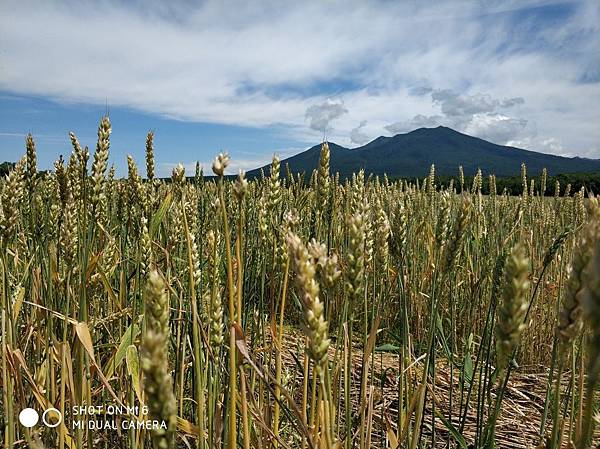 20180703-17北海道_180719_0664.jpg 20180703-17北海道_180719_0664.jpg