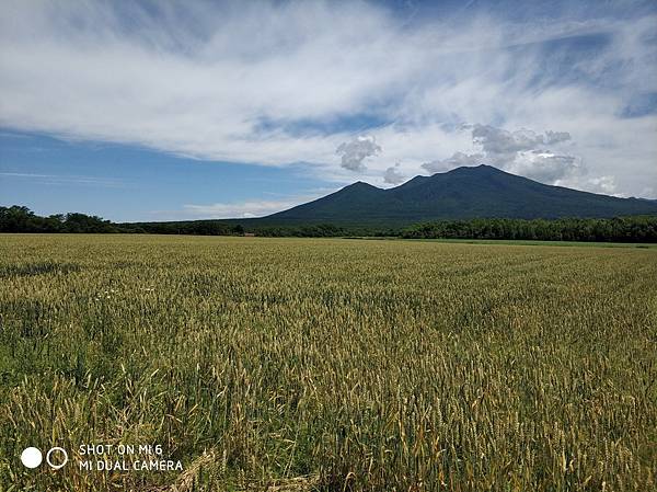 20180703-17北海道_180719_0665.jpg