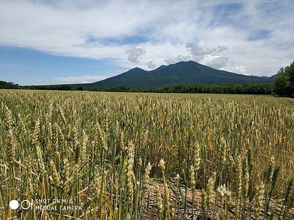 20180703-17北海道_180719_0666.jpg