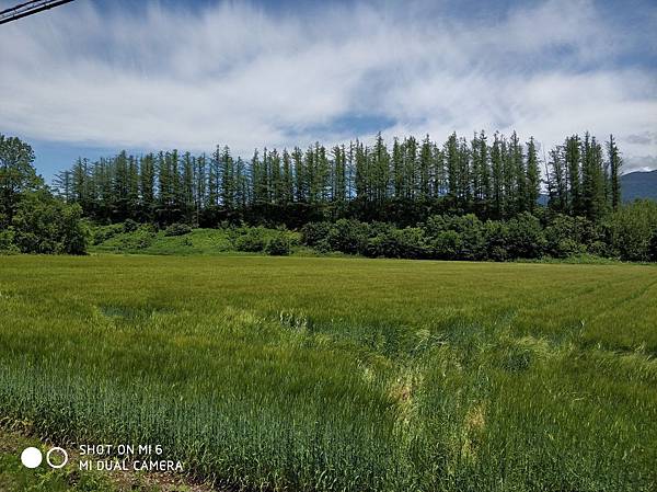 20180703-17北海道_180719_0668.jpg 20180703-17北海道_180719_0668.jpg