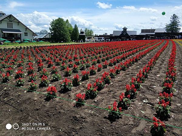 20180703-17北海道_180719_0671.jpg 20180703-17北海道_180719_0671.jpg