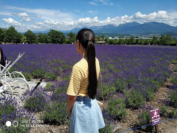20180703-17北海道_180719_0673.jpg 20180703-17北海道_180719_0673.jpg