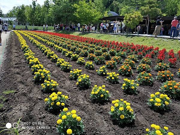 20180703-17北海道_180719_0675.jpg 20180703-17北海道_180719_0675.jpg