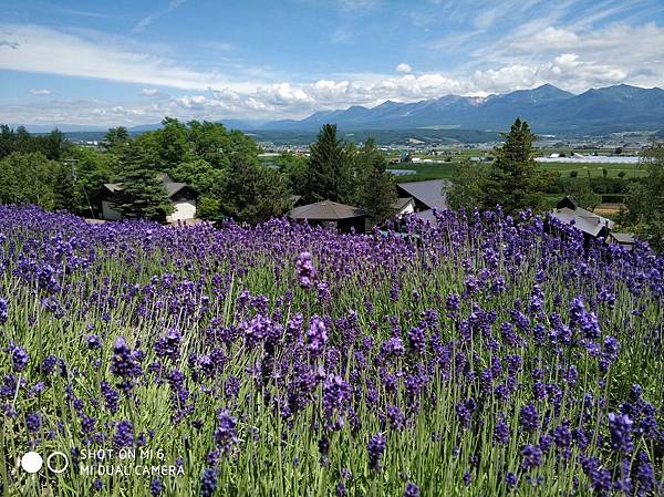 20180703-17北海道_180719_0694.jpg 20180703-17北海道_180719_0694.jpg