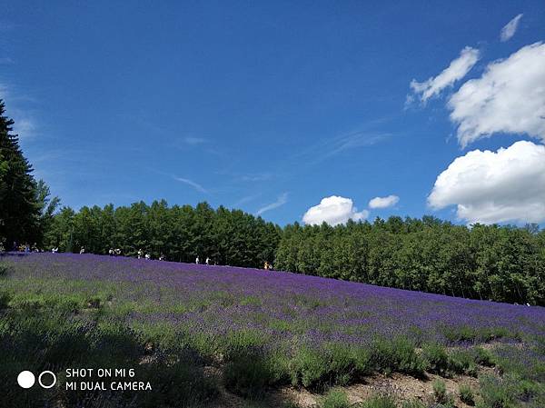 20180703-17北海道_180719_0698.jpg 20180703-17北海道_180719_0698.jpg