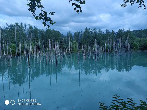 20180703-17北海道_180719_0722.jpg 20180703-17北海道_180719_0722.jpg