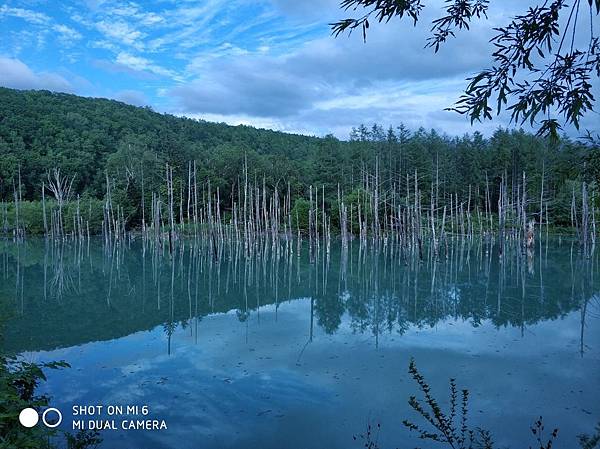 20180703-17北海道_180719_0727.jpg 20180703-17北海道_180719_0727.jpg