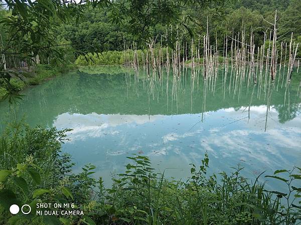 20180703-17北海道_180719_0732.jpg