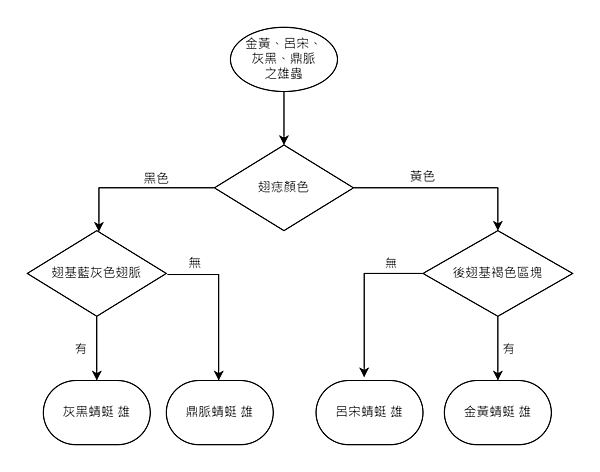 灰蜻屬雄蟲辨識.jpg