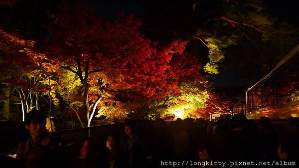 P1040443.JPG P1040443.JPG