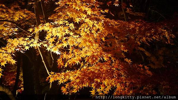 P1040444.JPG P1040444.JPG