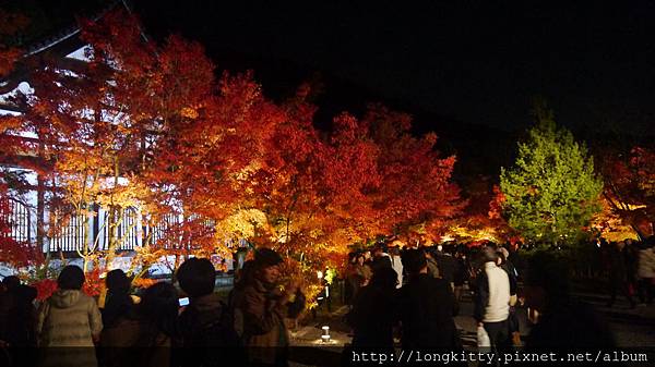 P1040449.JPG P1040449.JPG