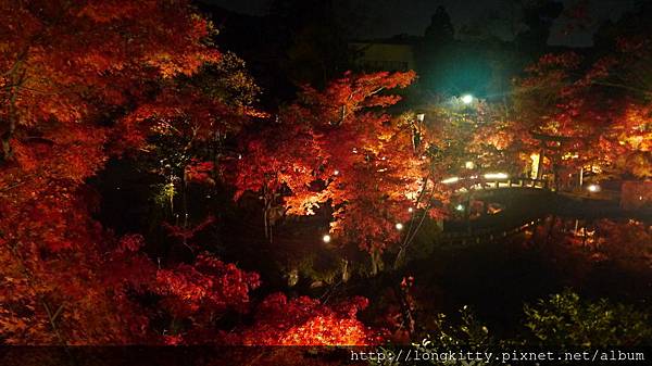 P1040457.JPG P1040457.JPG