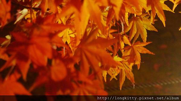 P1040471.JPG P1040471.JPG