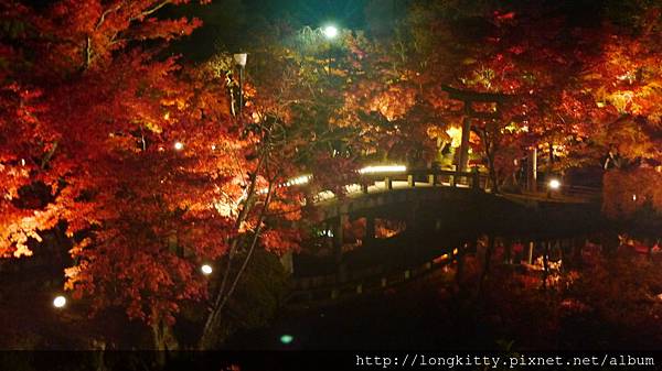 P1040467.JPG P1040467.JPG