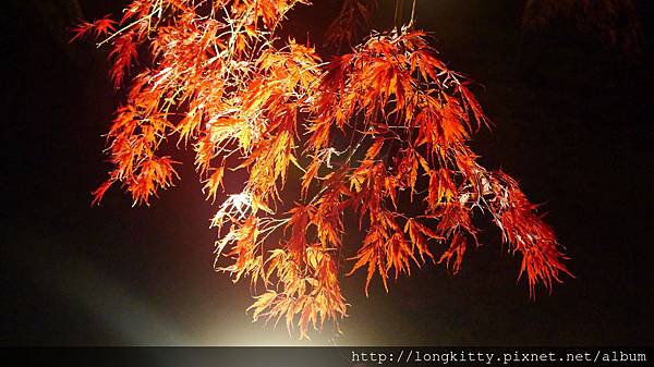 P1040487.JPG P1040487.JPG