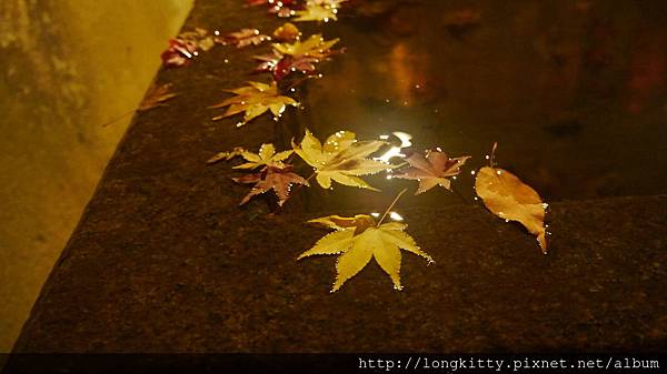 P1040500.JPG P1040500.JPG