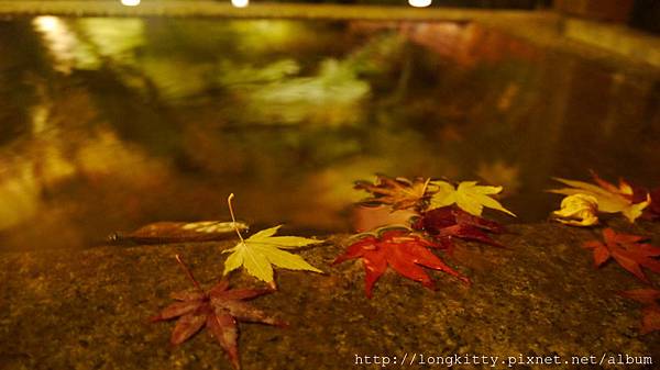 P1040502.JPG P1040502.JPG