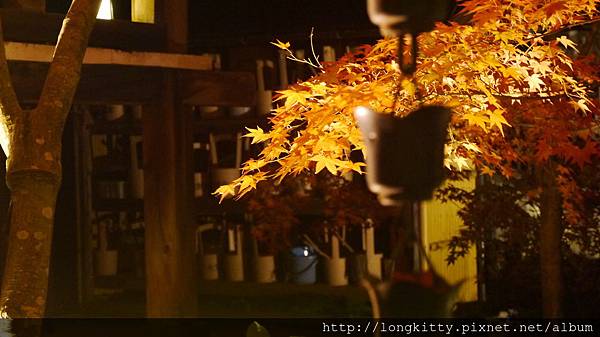 P1040520.JPG P1040520.JPG