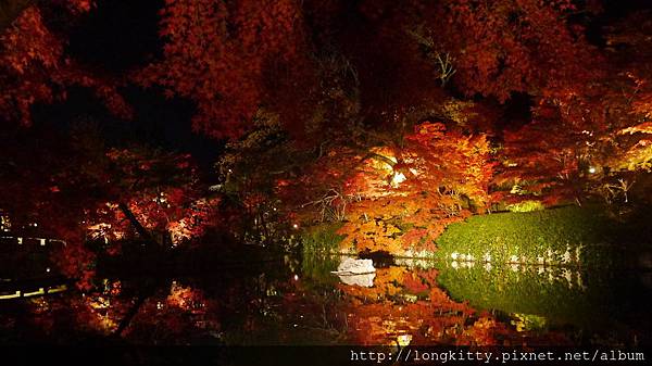 P1040538.JPG P1040538.JPG