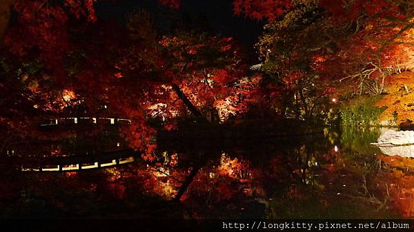 P1040539.JPG P1040539.JPG