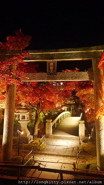 P1040558.JPG P1040558.JPG