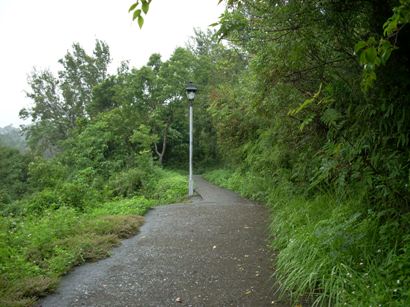 玉泉寺後山步道3