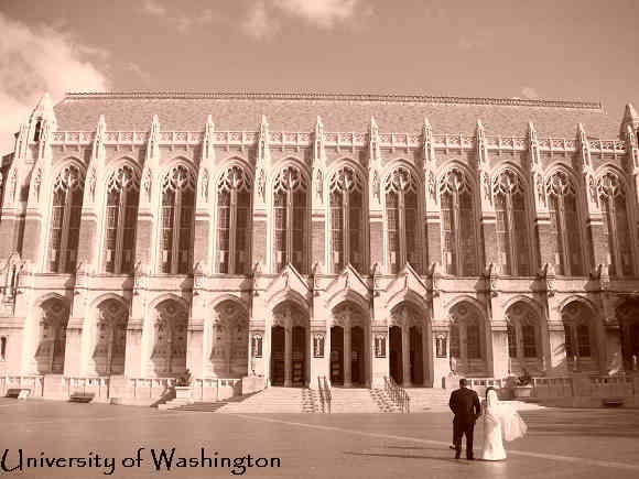100_3481.jpg 100_3481.jpg