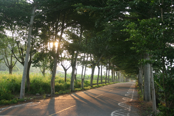 鹿野鄉龍田村