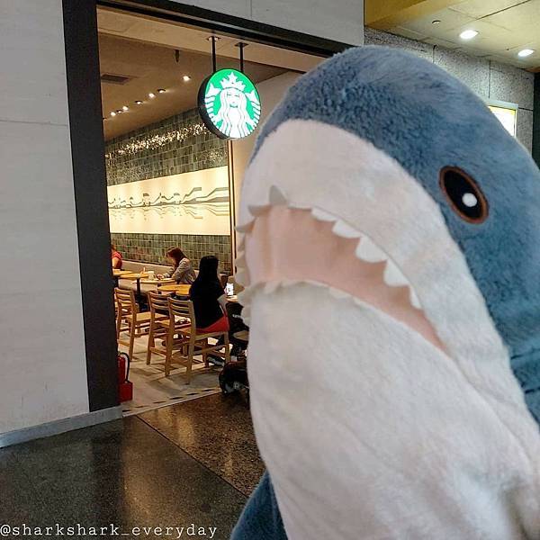 Sharkbucks.jpg