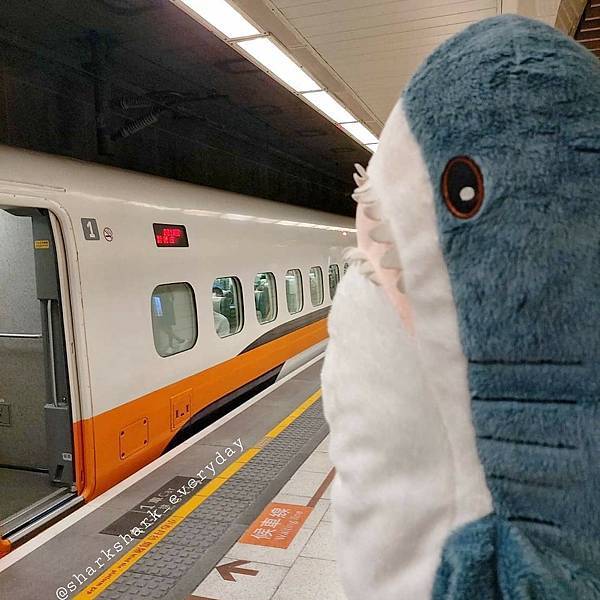 Sharksharkwaitingforhighspeedrail.jpg