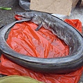 R0010525
