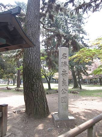 奈良公園底家啦