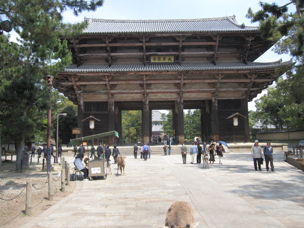 東大寺的大門