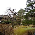 7高山陣屋庭園-1.jpg