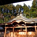 27高山櫻山八幡宮拜殿-1.jpg