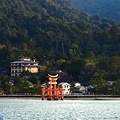 52嚴島神社鳥居遠眺-1.jpg