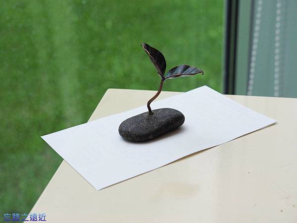 20  Asperges-紙鎮.jpg