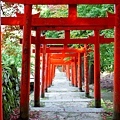 16出石城鳥居-2.jpg