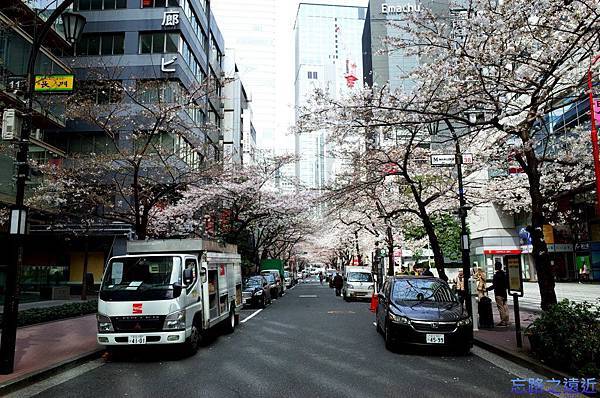 21櫻花通高島屋端望東京站端.jpg